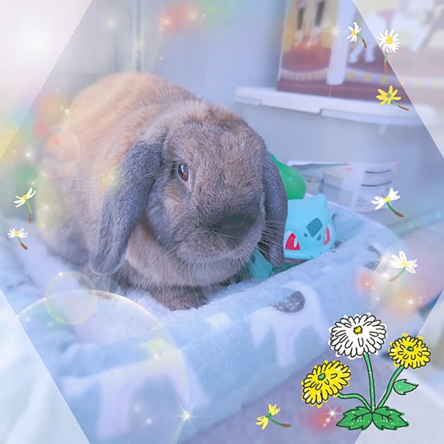 mariaさんの部屋