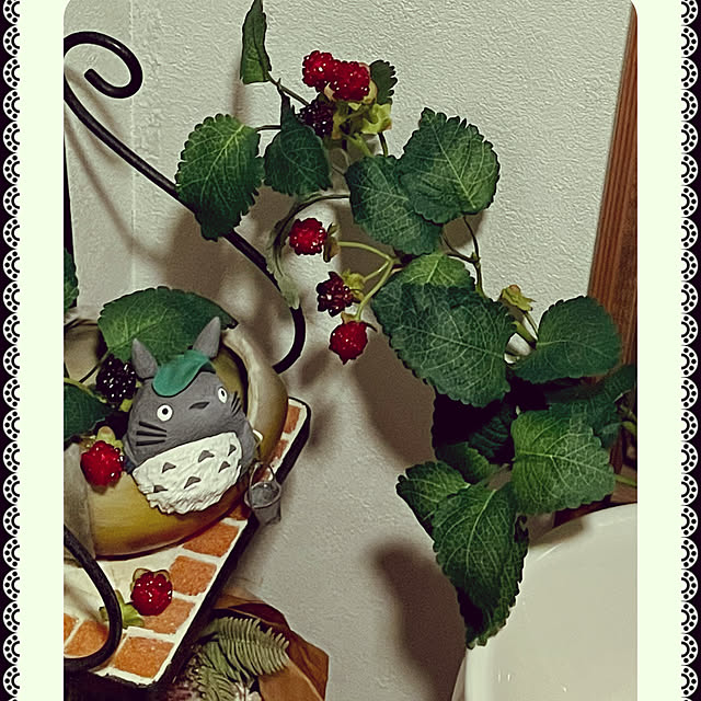 cotaさんの部屋