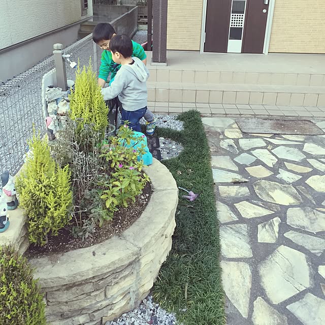 実例写真