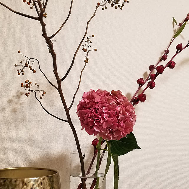 shimeji963さんの実例写真