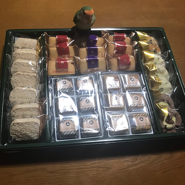 aoinokimiさんの実例写真