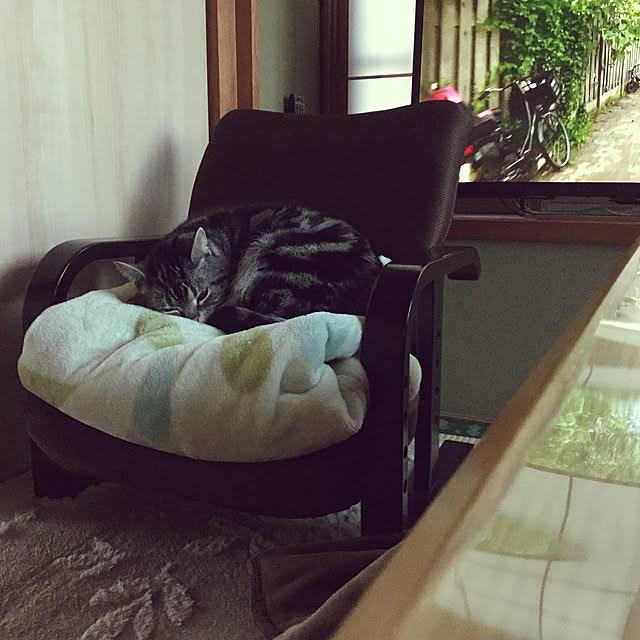 richanさんの実例写真