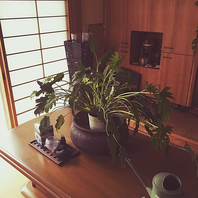 kayokoさんの実例写真