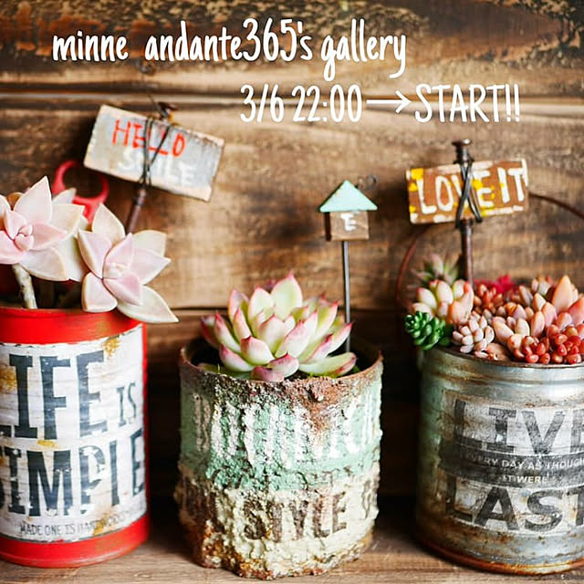andante365さんの実例写真