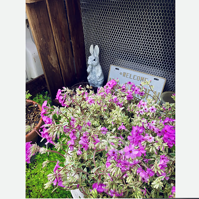 CoCo0617さんの部屋