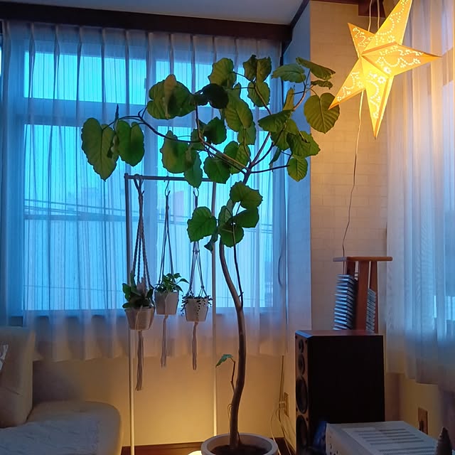 mikeさんの実例写真