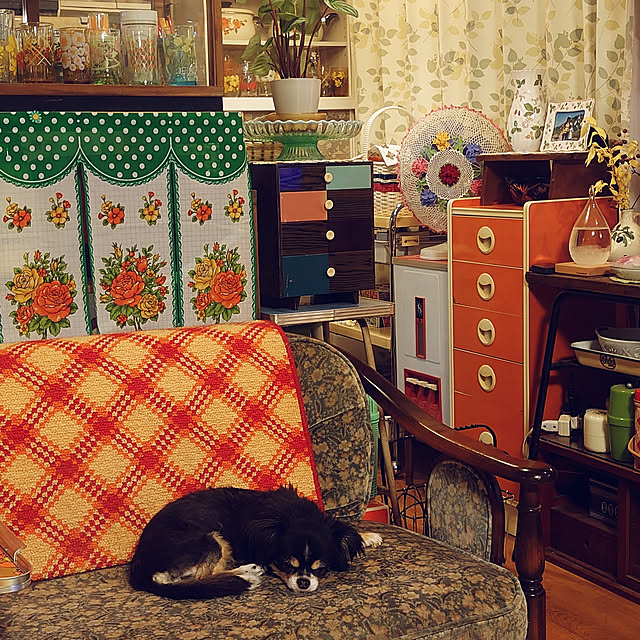 cha-baさんの実例写真