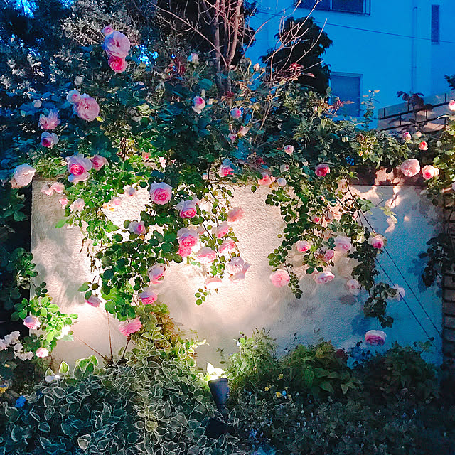 miwarinさんの実例写真