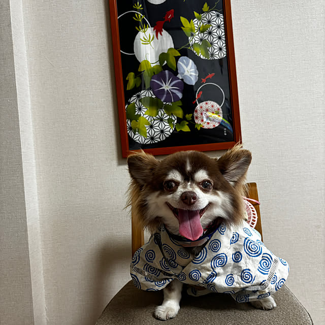 chIoeさんの部屋