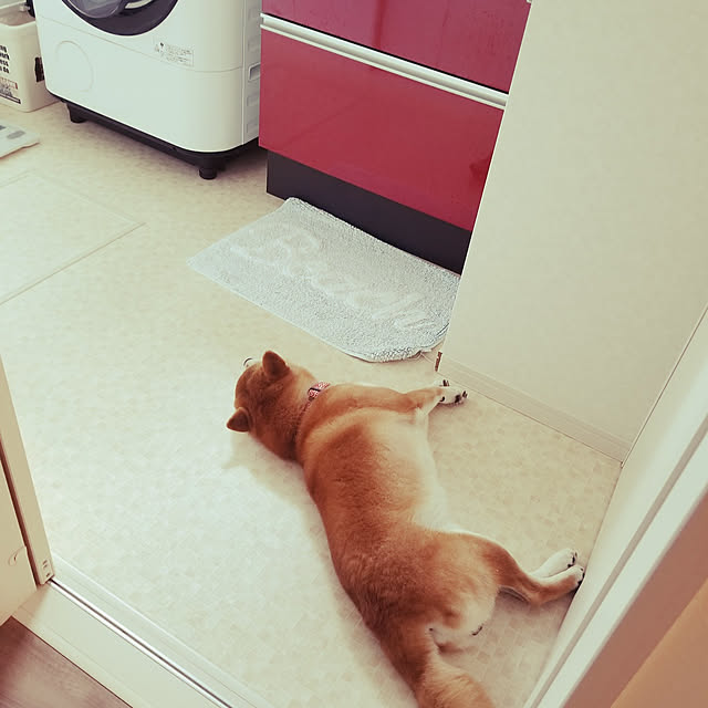 akitan0713さんの実例写真