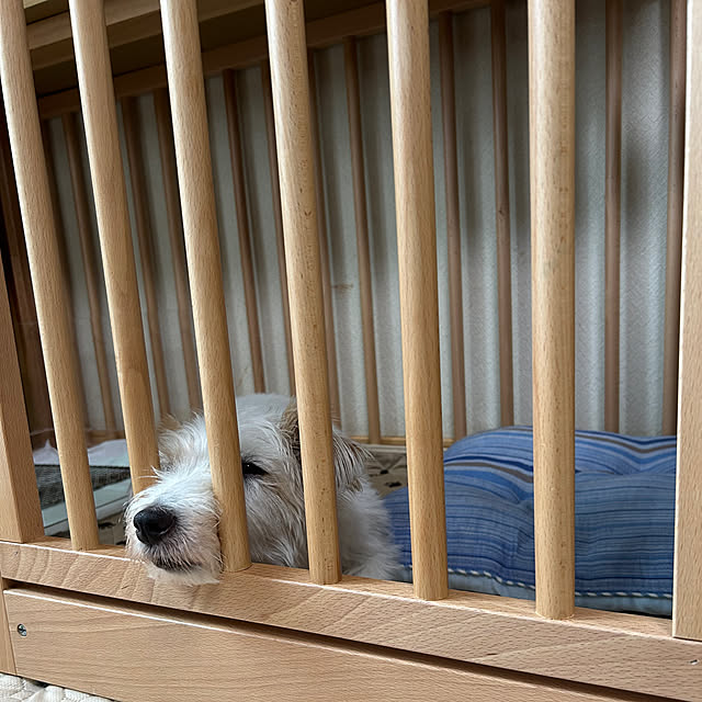 Fumiさんの部屋