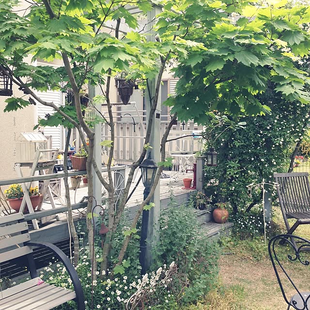 mamiarisaさんの実例写真