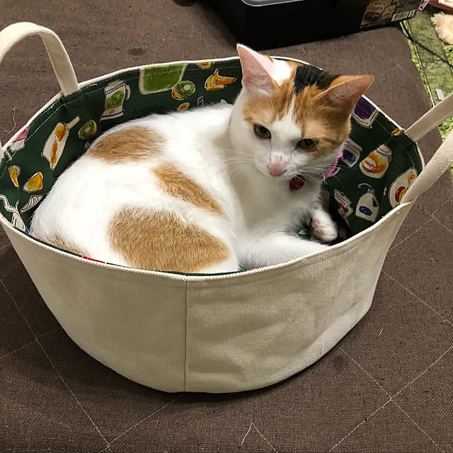 Chiiさんの実例写真