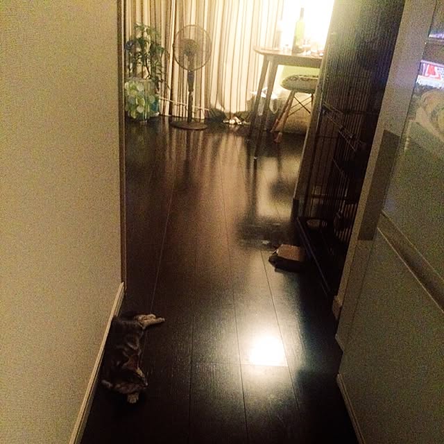 Kanaさんの実例写真