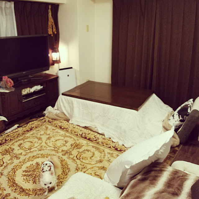 soraさんの実例写真
