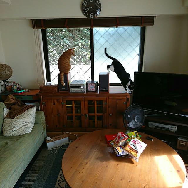 okyosan101さんの実例写真