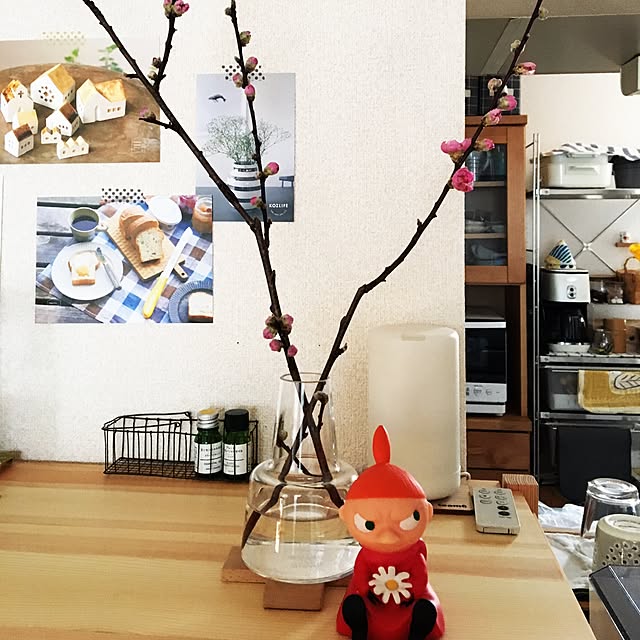 momoさんの実例写真
