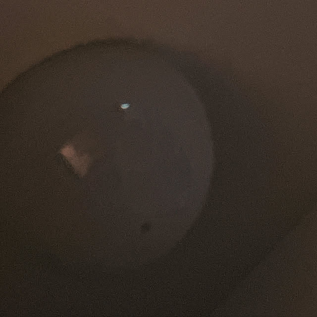 vioretさんの実例写真