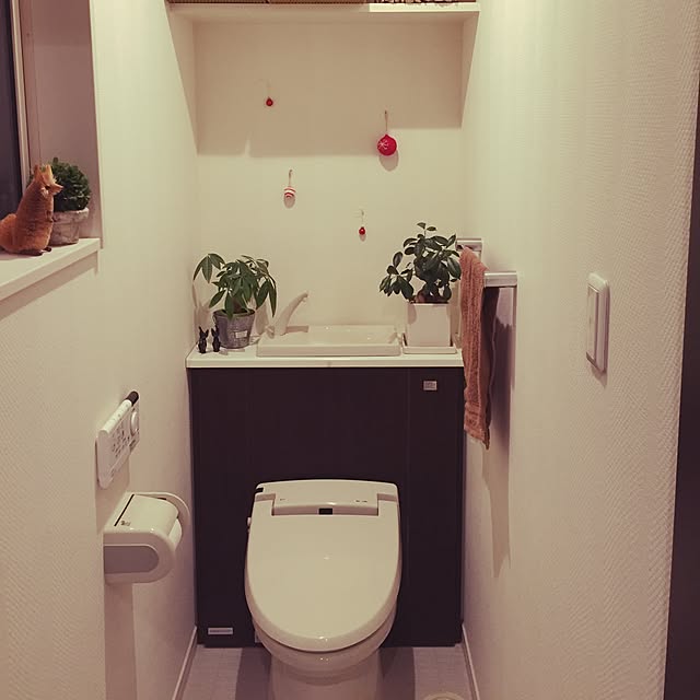 yuki0511さんの実例写真