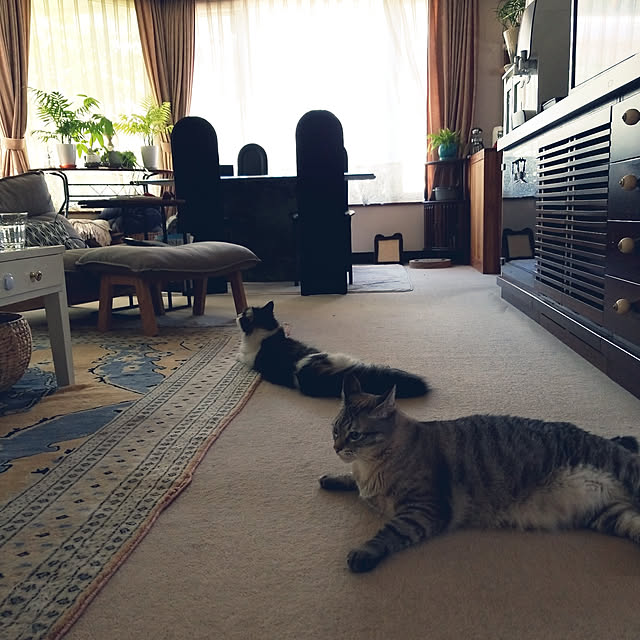 neoさんの実例写真