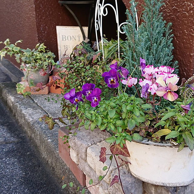 asaさんの実例写真