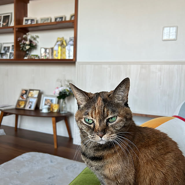 mikeume7さんの実例写真
