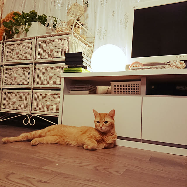 asuminさんの実例写真