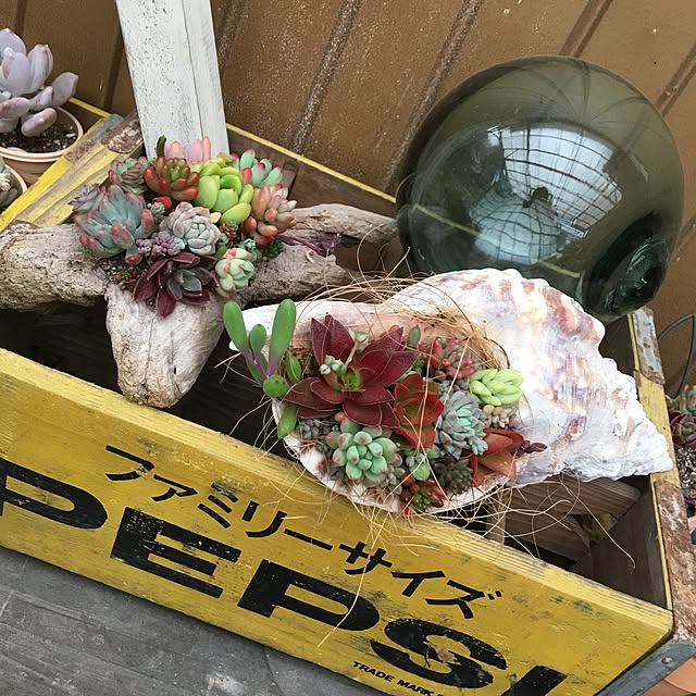 Chihoさんの実例写真