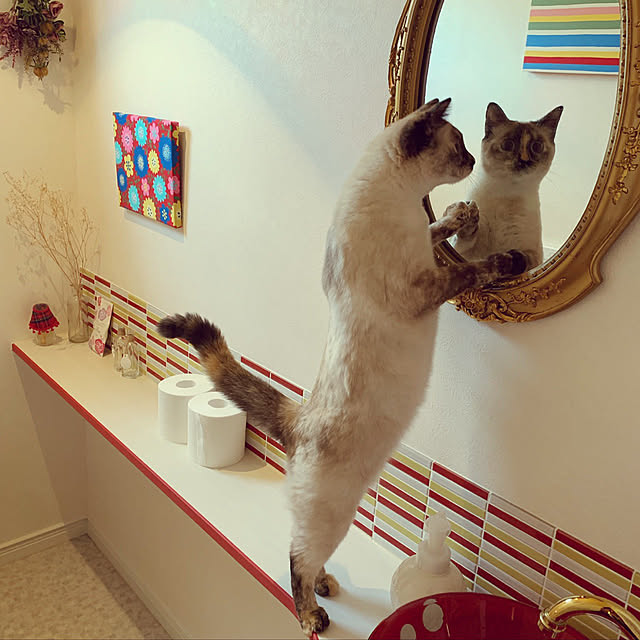 Moricさんの実例写真