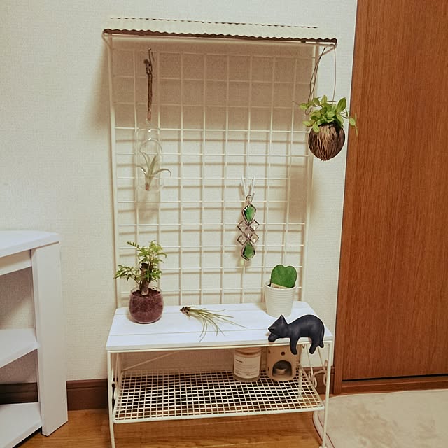 satoziさんの実例写真