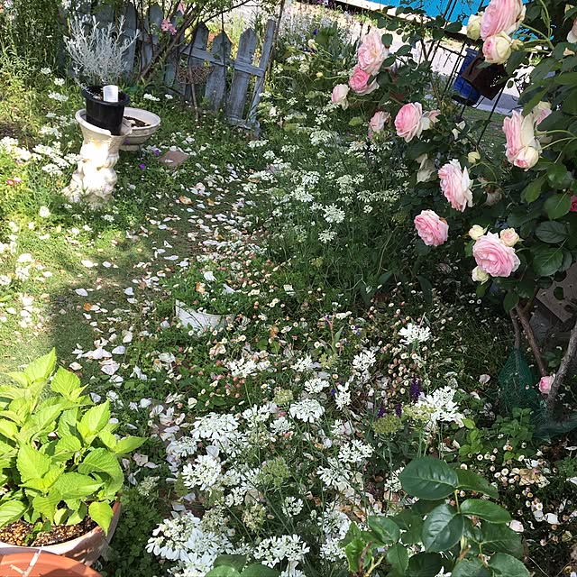 shigimiさんの実例写真