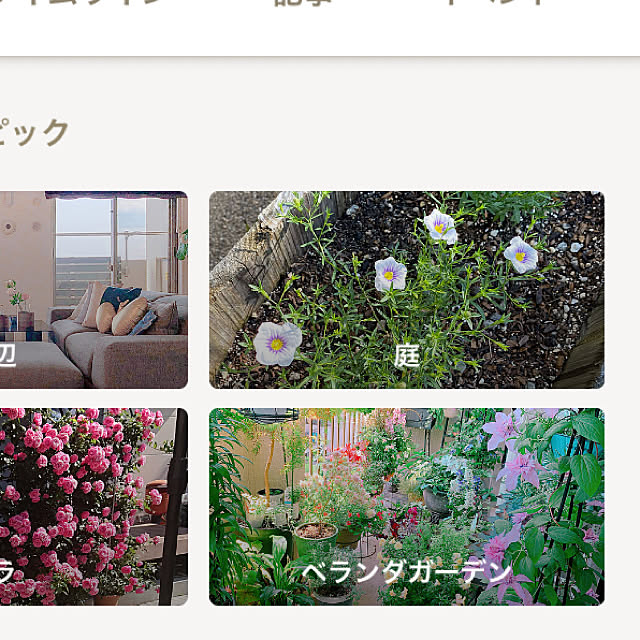 zuccoさんの実例写真