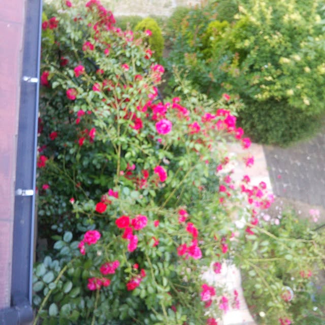 Tomopさんの実例写真