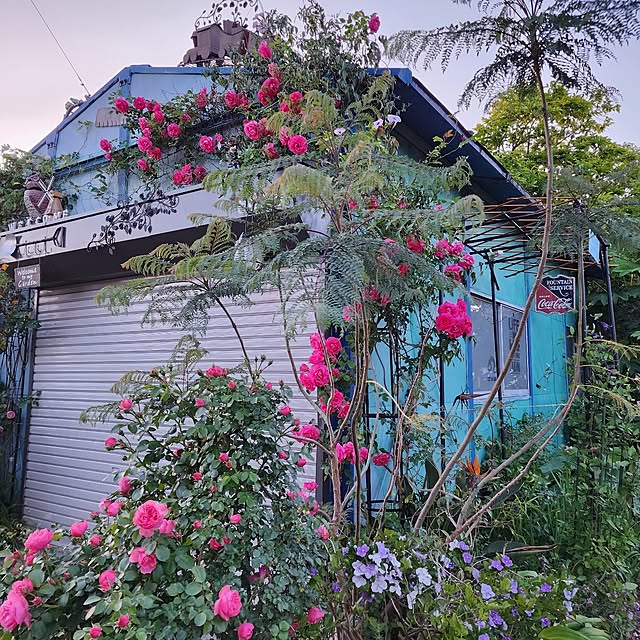 GreenHomeさんの部屋
