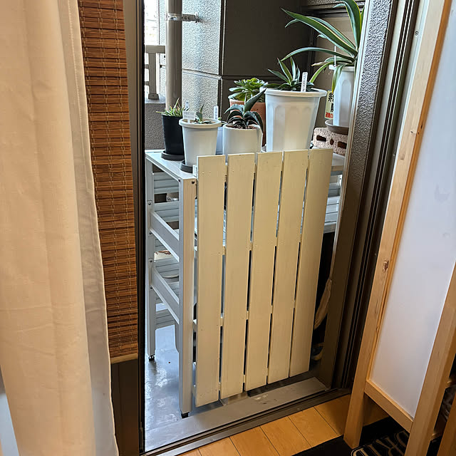 koshiregutyoさんの実例写真