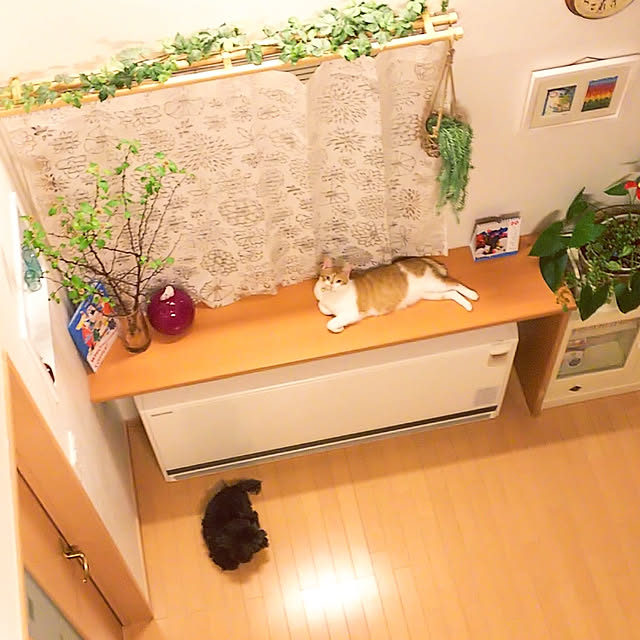 imacoco-3さんの実例写真