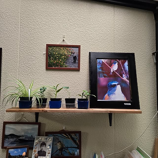 mitsuyama3136さんの実例写真