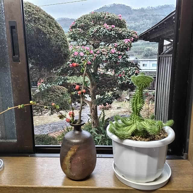 kuririnmamaさんの部屋