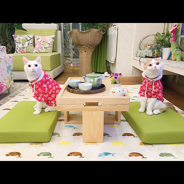 buypetyaさんの実例写真