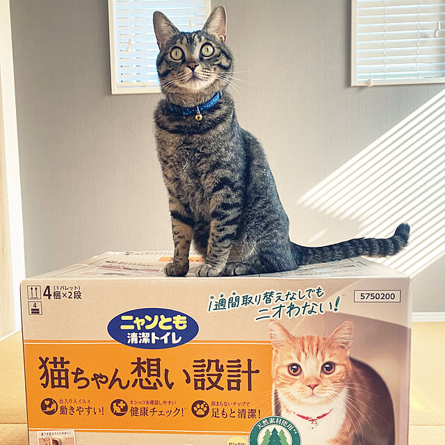 mmeeronさんの部屋