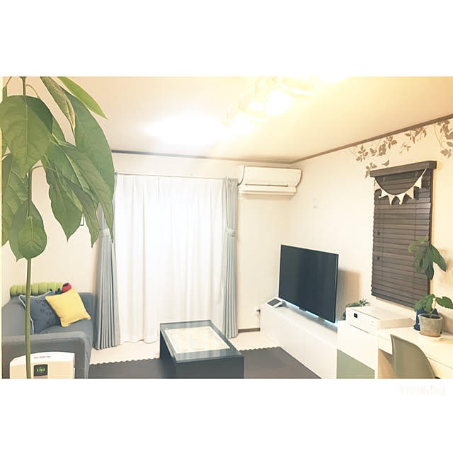 部屋全体/ウッドブラインド/間接照明/観葉植物/BESTA...などのインテリア実例 - 2018-01-15 22:17:36
