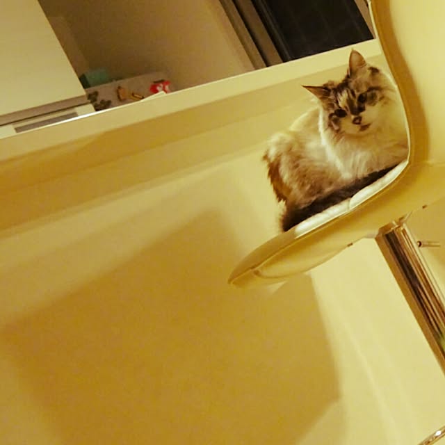 123sgnbさんの実例写真
