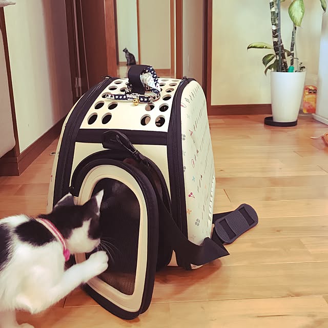 noraさんの実例写真