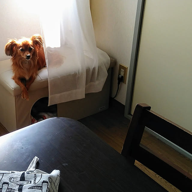 toratanさんの実例写真