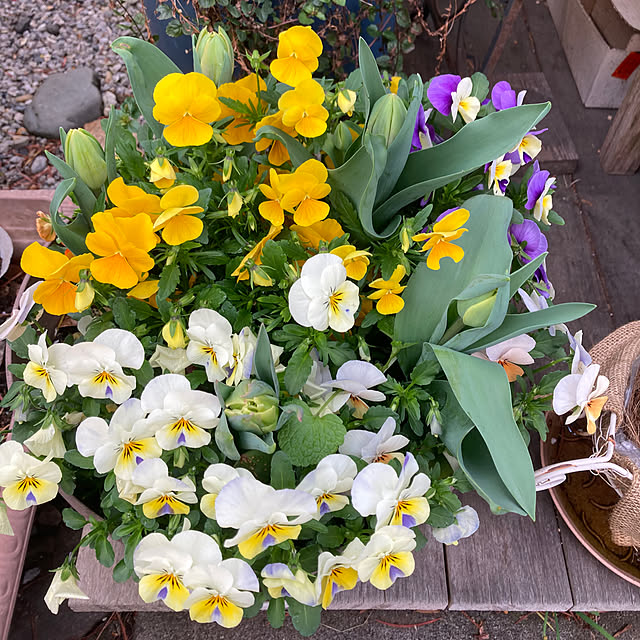 amiromikaさんの実例写真