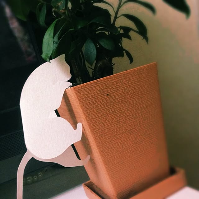 MOCAさんの実例写真