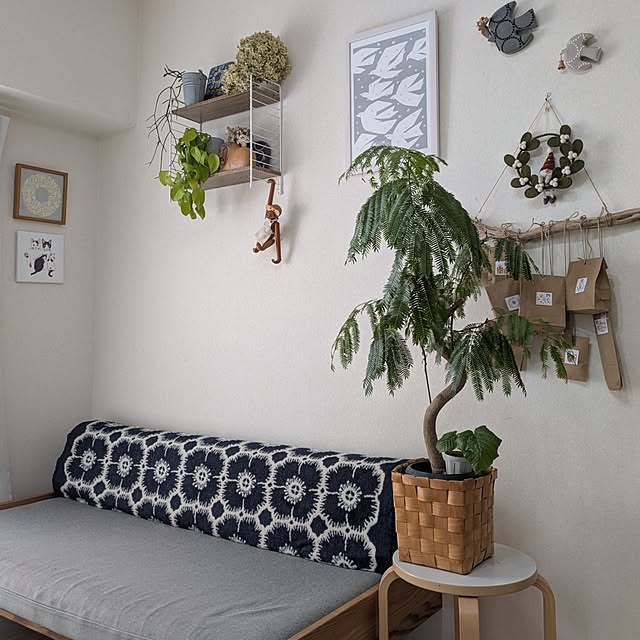 ichi.さんの実例写真