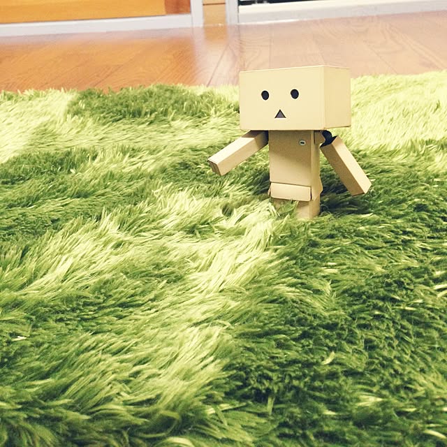 Ryokoさんの実例写真