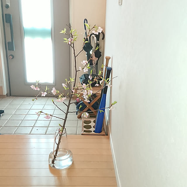 shinoさんの実例写真