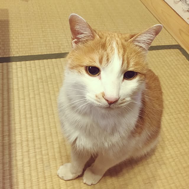 LEMONさんの実例写真